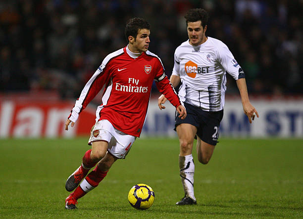 争性与观赏 争性与观赏